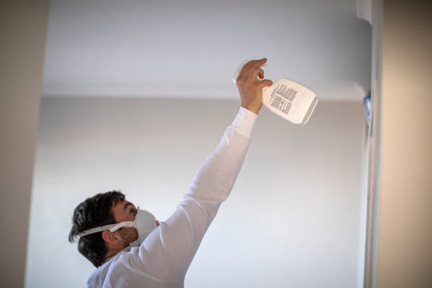 Best Toxic Mold Removal  in Lytle, TX