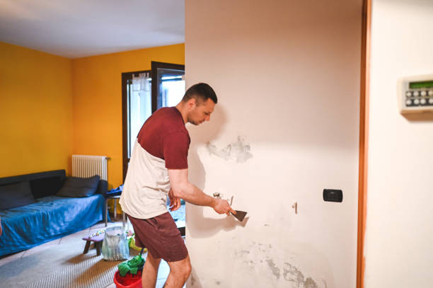 Best Local Mold Removal Service  in Lytle, TX