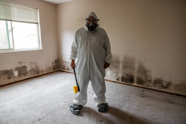 Best Commercial Mold Removal  in Lytle, TX
